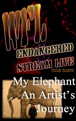 My Elephant